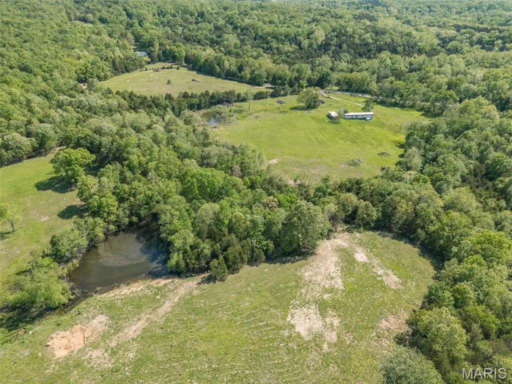 746 Pendleton Road, Farmington, MO 63640 - #1