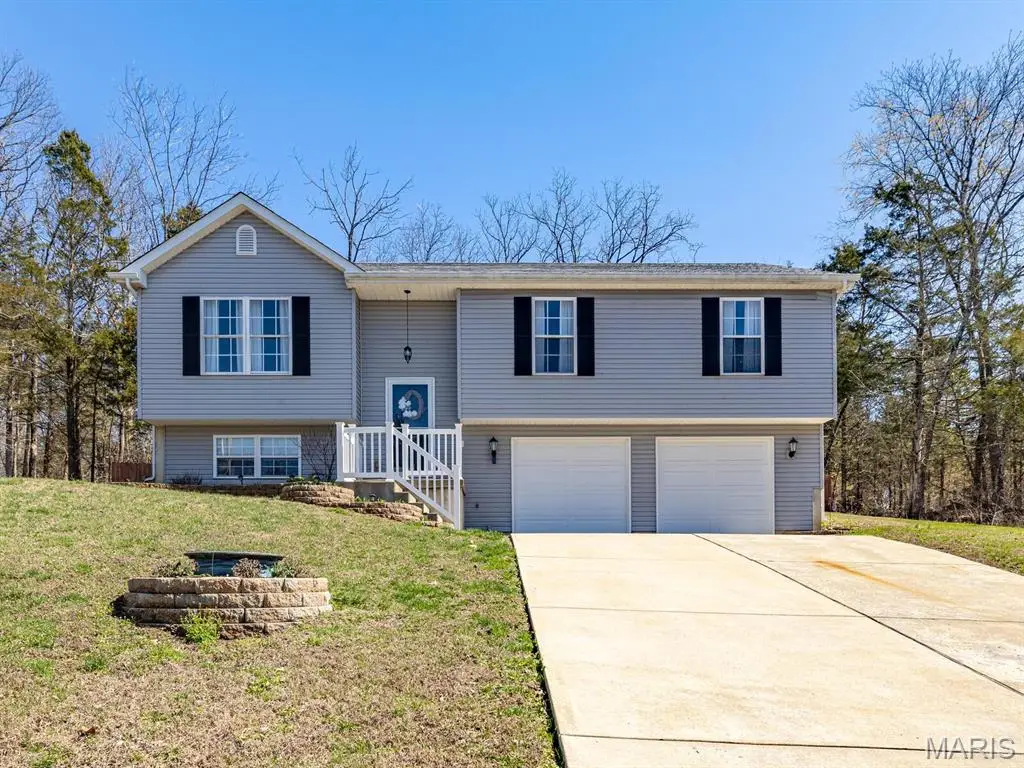10318 Timber Hill Drive, Hillsboro, MO 63050 - #1