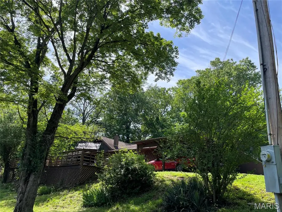 206 Town And Country Drive, Piedmont, MO 63957 - #3