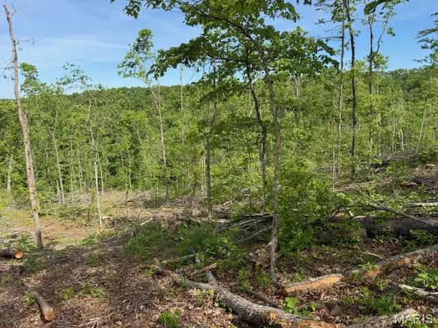 TBD County Road 305a, Eminence, MO 65466 - #2