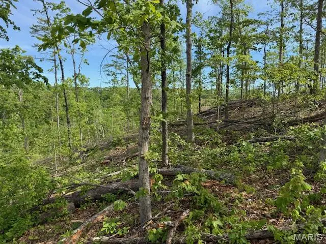 TBD County Road 305a, Eminence, MO 65466 - #3