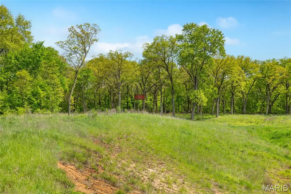 222 C Prairietown Road, Dorsey, IL 62021 - #1