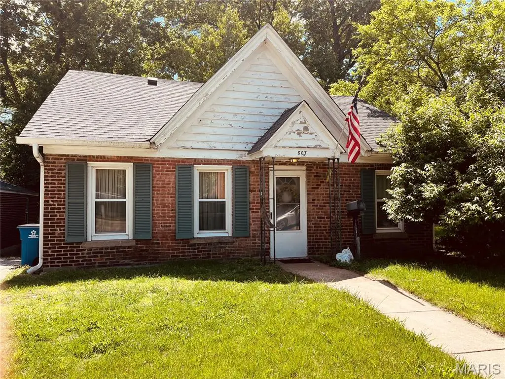 807 College Avenue, Alton, IL 62002 - #1