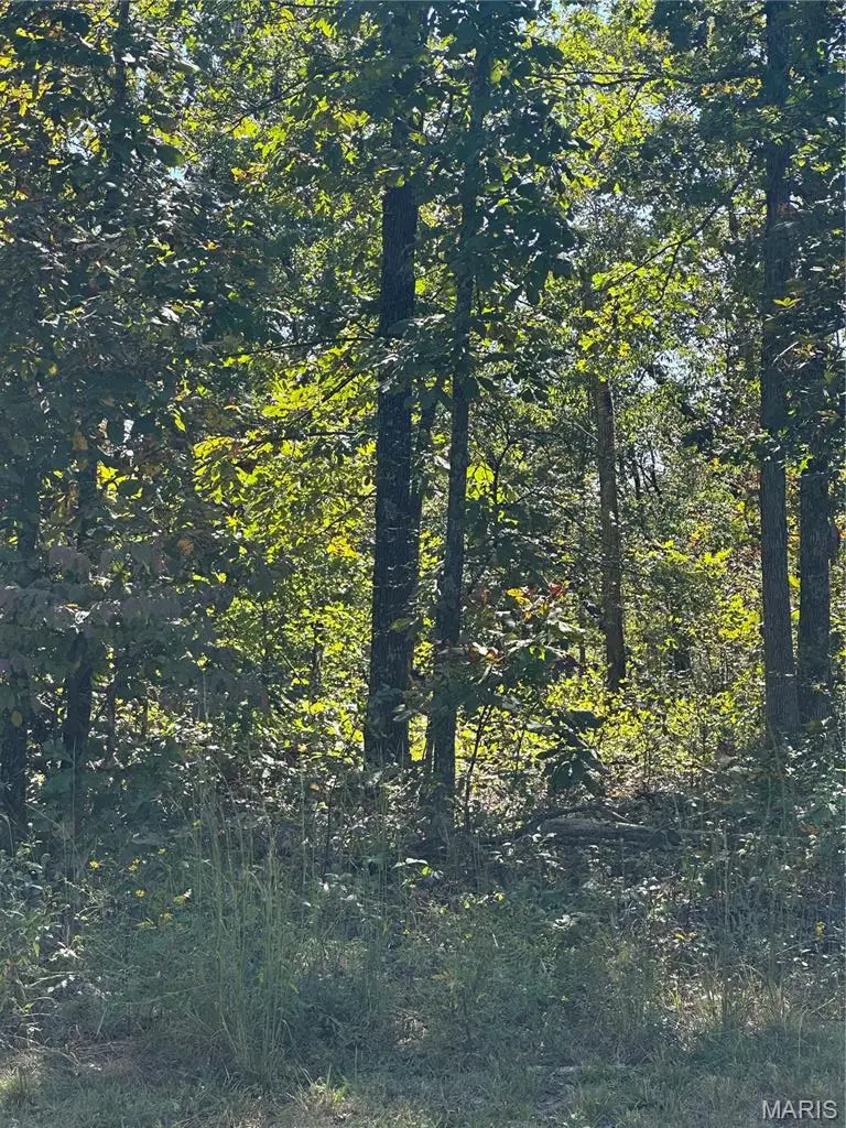 0 142e-24b, Doniphan, MO 63935 - #1