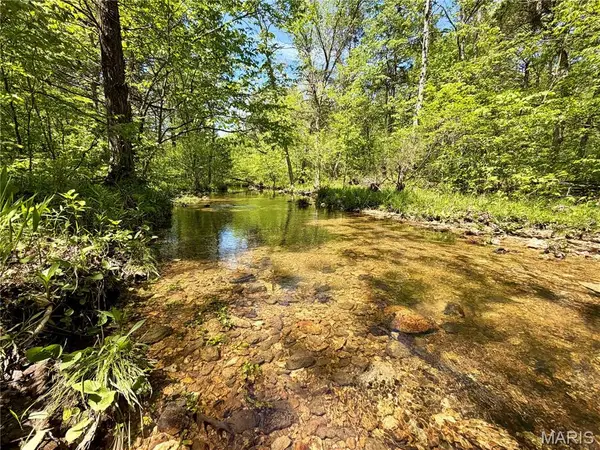 6 Furnace Creek Road, Potosi, MO 63664