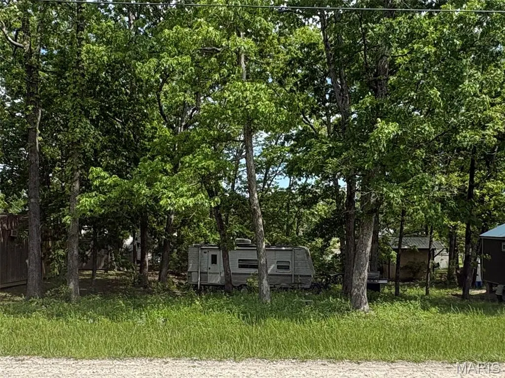 0 W Lakeview Drive, Ironton, MO 63650 - #1