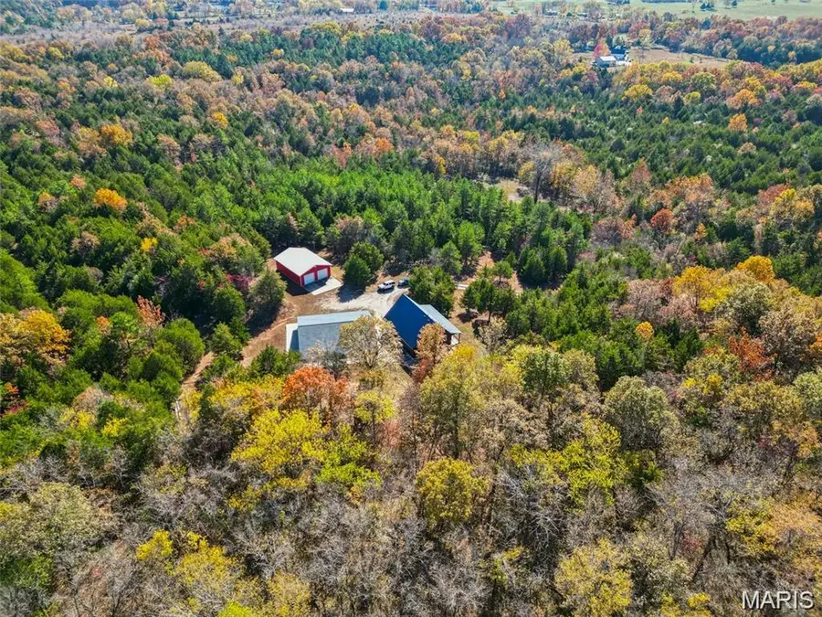 10330 Bottom Diggins Road, Cadet, MO 63630 - #3