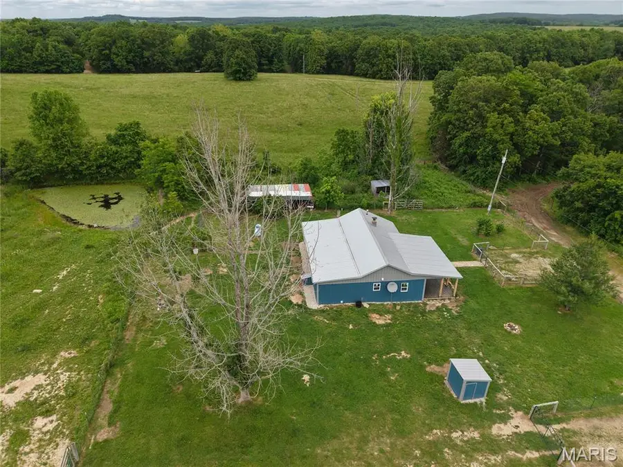 40190 Dandelion Road, Falcon, MO 65470 - #2