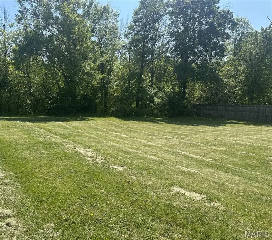 36 Colton Jesse Drive, Winfield, MO 63389 - #3