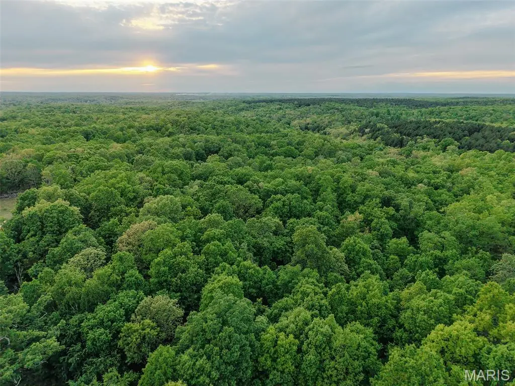 65 Acres+- E Highway 32, Salem, MO 65560 - #1