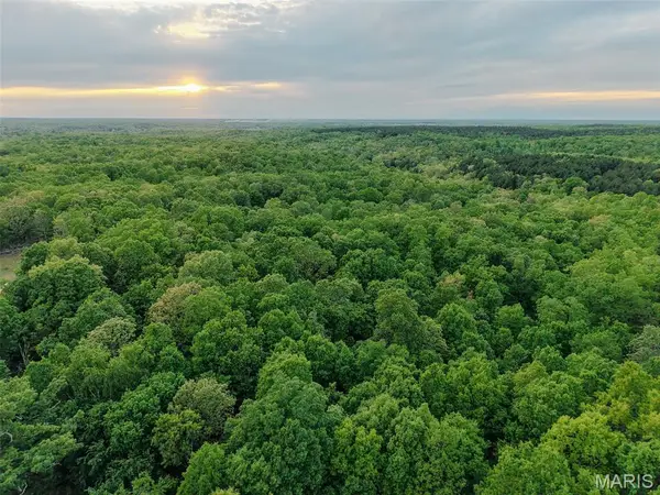 65 Acres+- E Highway 32, Salem, MO 65560