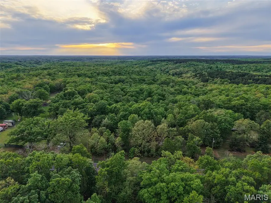 65 Acres+- E Highway 32, Salem, MO 65560 - #2
