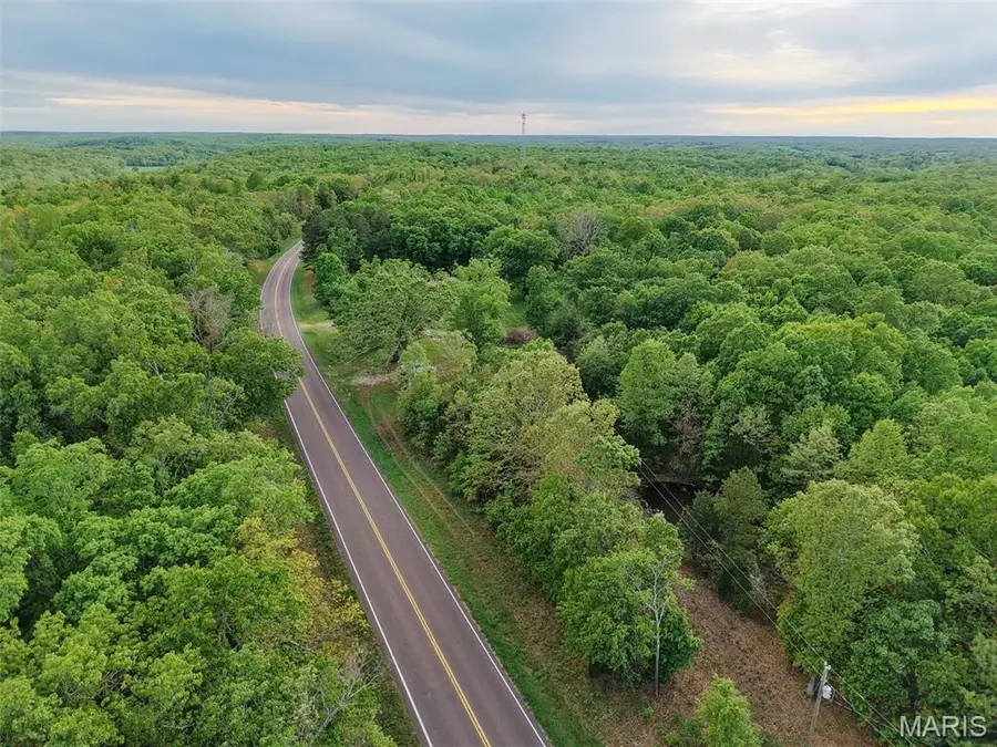 65 Acres+- E Highway 32, Salem, MO 65560 - #3