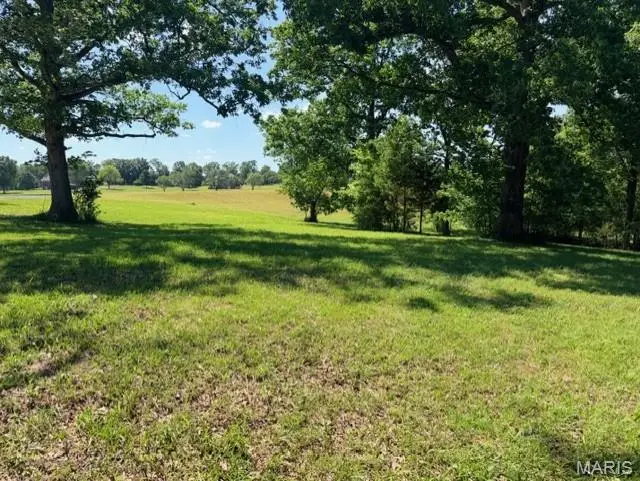 0 West Bluff Estates Lot 35, Poplar Bluff, MO 63901 - #2