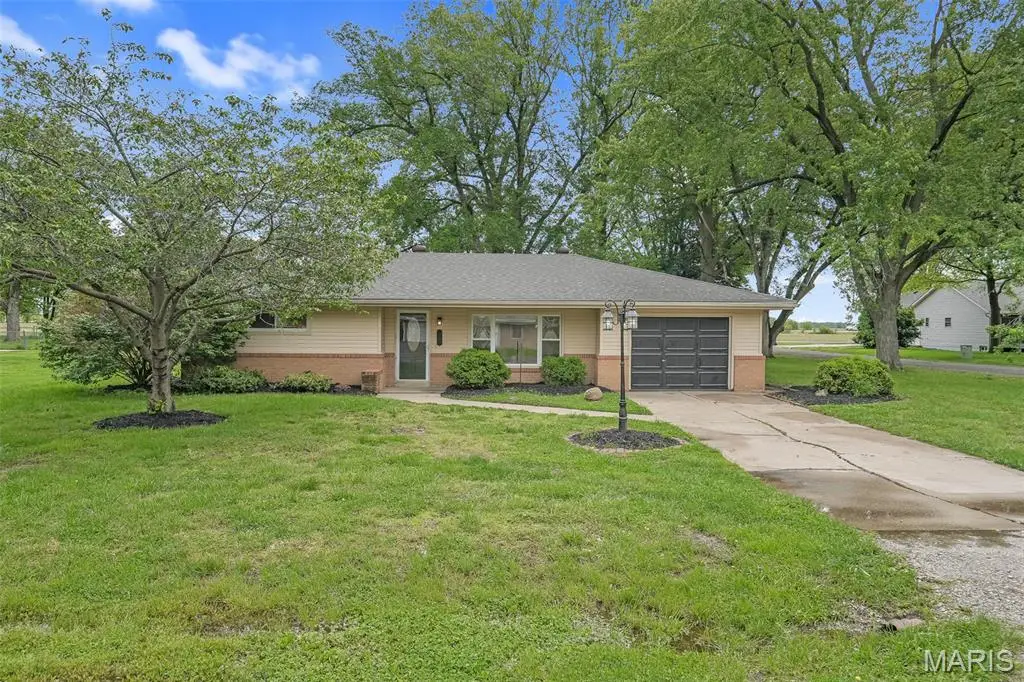 234 Wolf Avenue, Hamel, IL 62046 - #1