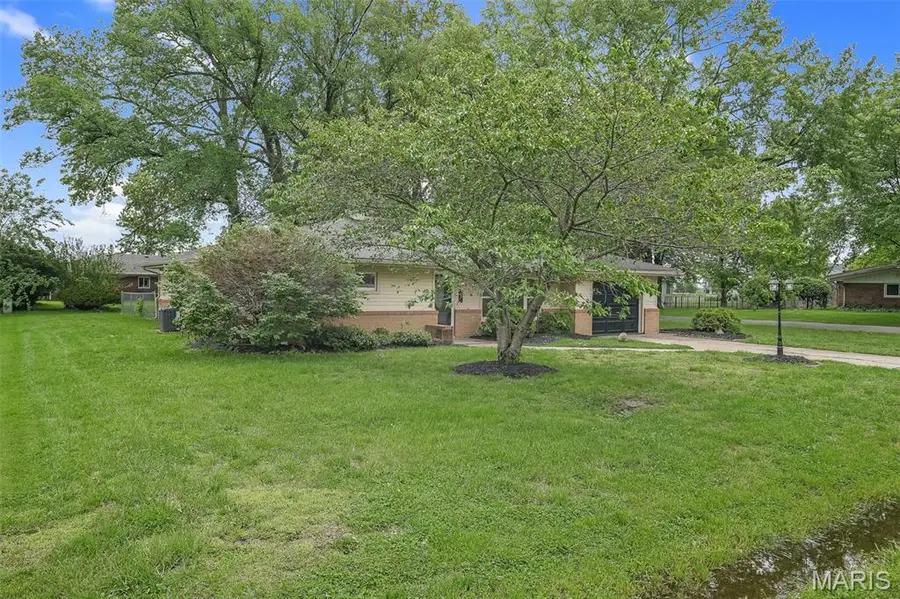 234 Wolf Avenue, Hamel, IL 62046 - #3