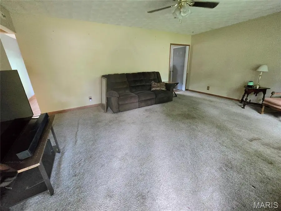 111 Theresa Drive, Troy, IL 62294 - #3