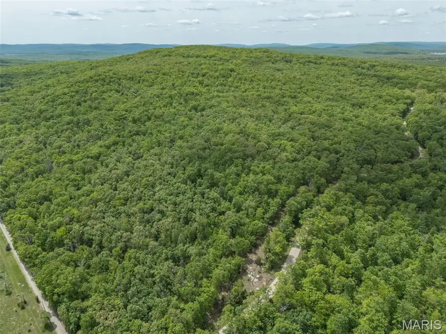 1 Buck Mountain Road, Doe Run, MO 63637 - #2