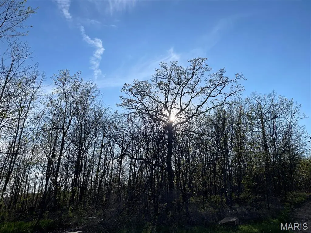 1190 Private Road 349a-5, Piedmont, MO 63957 - #1