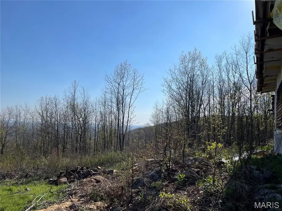 1190 Private Road 349a-5, Piedmont, MO 63957 - #2