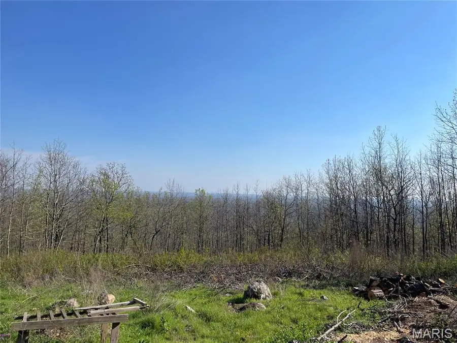 1190 Private Road 349a-5, Piedmont, MO 63957 - #3