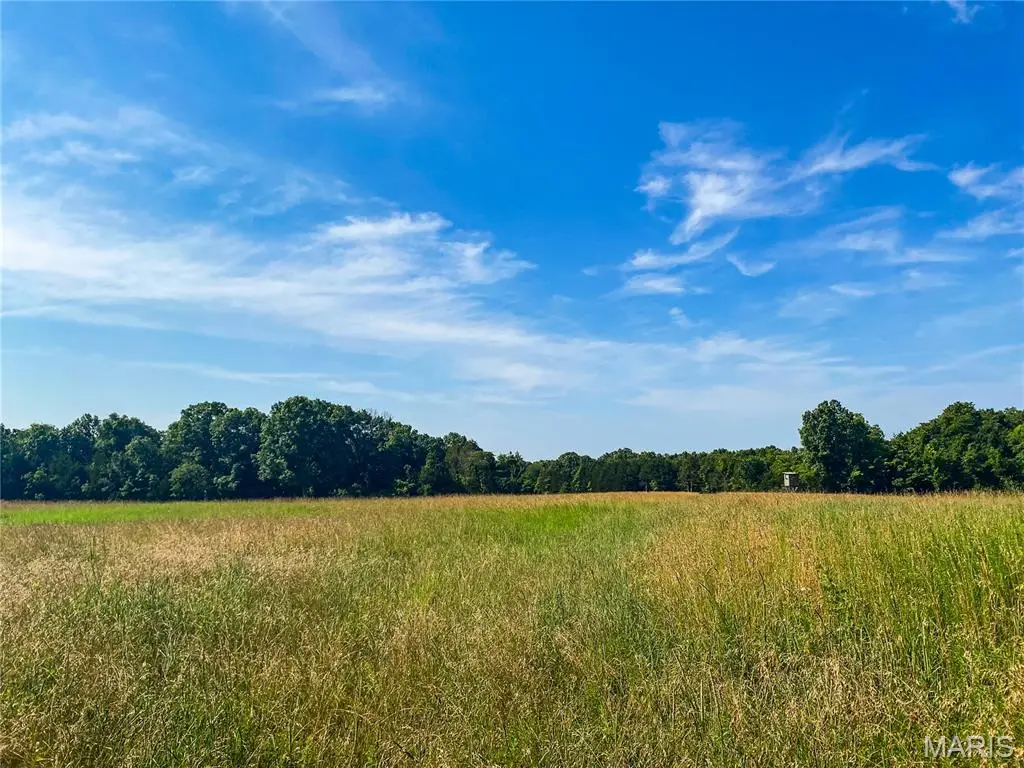 Lot 6B Springview Farms, Marthasville, MO 63357 - #1