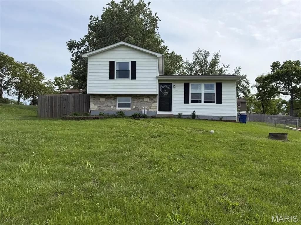 505 Rathburn Street, De Soto, MO 63020 - #1
