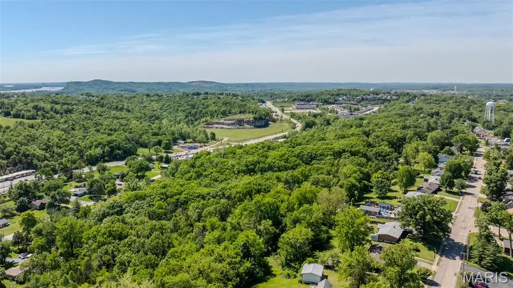 1393 Spring Drive, Herculaneum, MO 63048 - #1