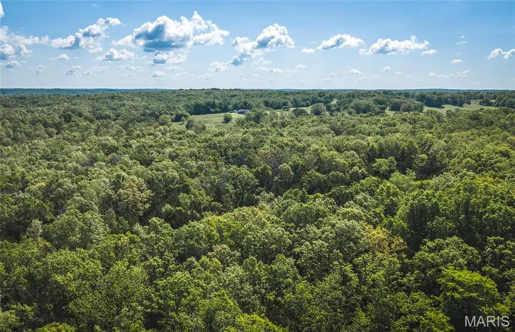 3 Highway Ff, Edgar Springs, MO 65462 - #1