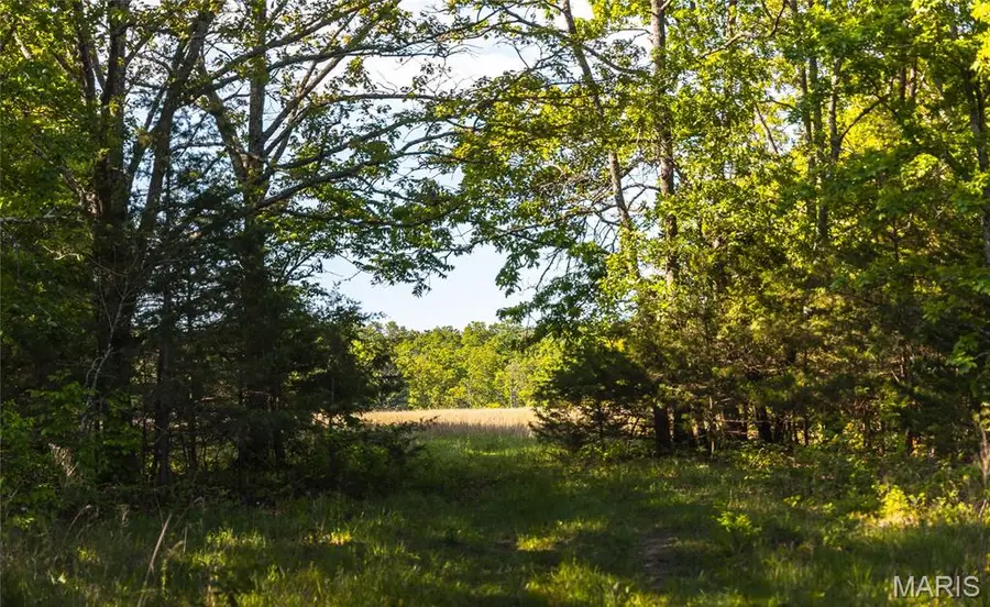 3 Highway Ff, Edgar Springs, MO 65462 - #2