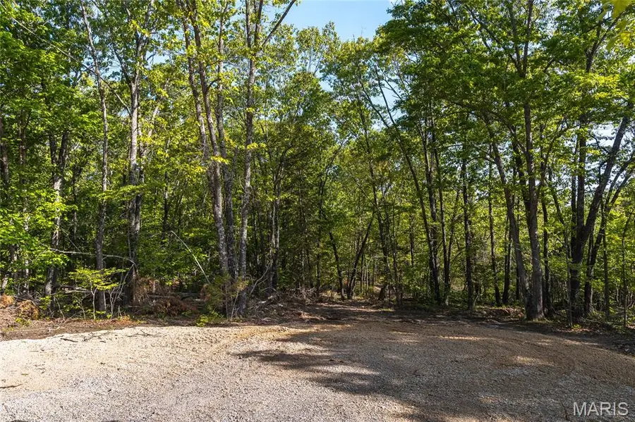 3 Highway Ff, Edgar Springs, MO 65462 - #3