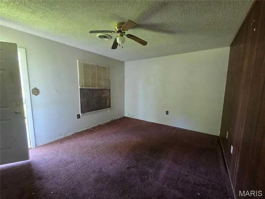 105 Adams Street, Sikeston, MO 63801 - #2