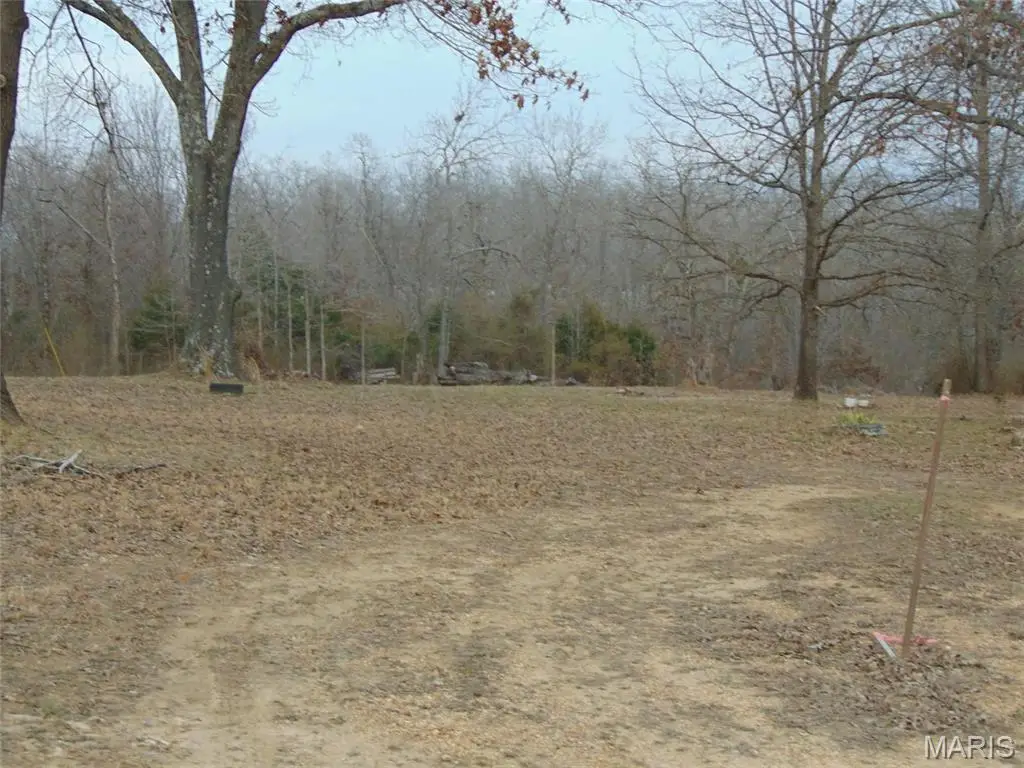 0 Ripley 142 W-a, Doniphan, MO 63935 - #1