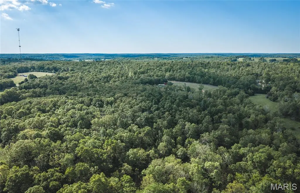 4 Highway Ff, Edgar Springs, MO 65462 - #1