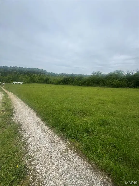 11494 Old Hwy 8, Potosi, MO 63664 - #2