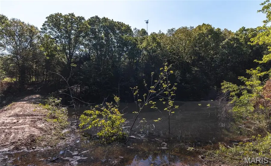 000 Highway Ff, Edgar Springs, MO 65462 - #3