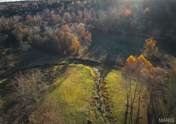 00 County Road 5615 (29.99 Acres), Bunker, MO 63629