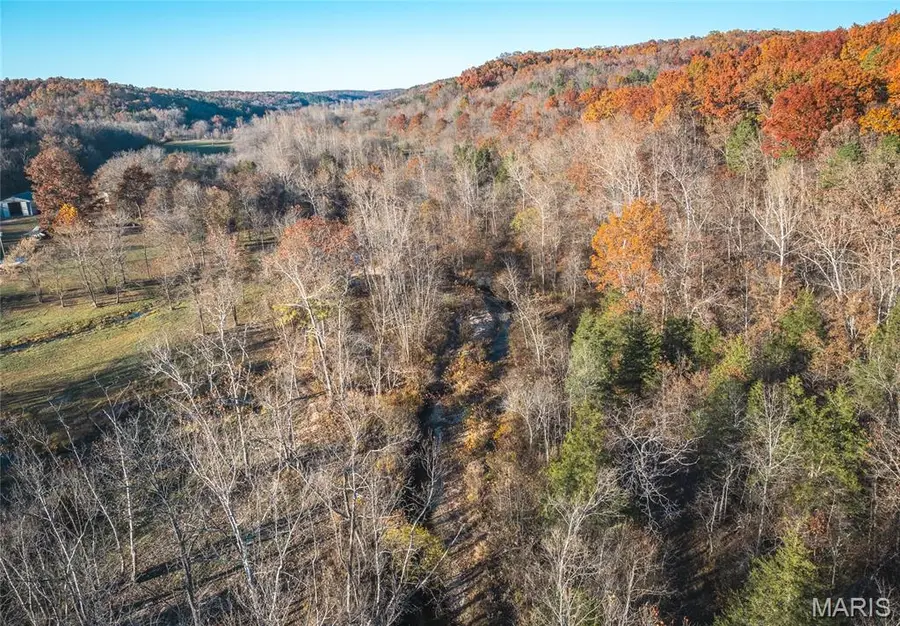 00 County Road 5615 (29.99 Acres), Bunker, MO 63629 - #2