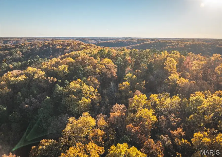 00 County Road 5615 (29.99 Acres), Bunker, MO 63629 - #3