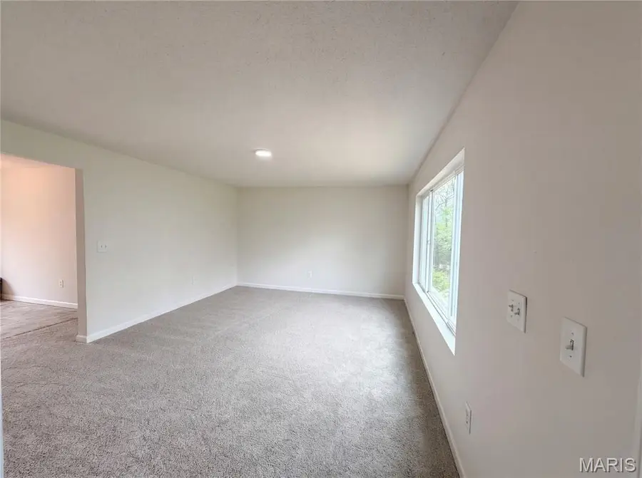 14326 Spring Drive, De Soto, MO 63020 - #3
