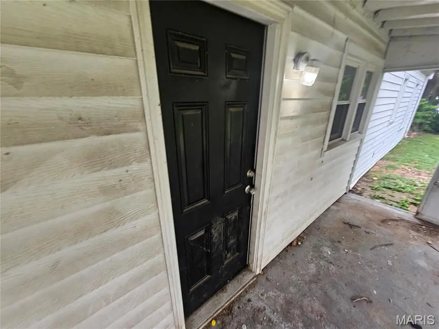 9801 Lorna Lane, Saint Louis, MO 63136 - #3