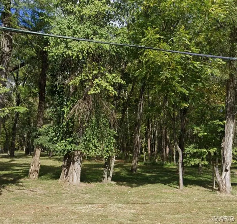 XXX Briar Hill Road, Belleville, IL 62223 - #2