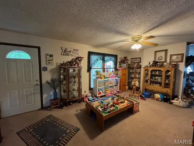 1512 Elfrink Lane, Wentzville, MO 63385 - #3