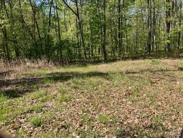 220 Madison Cr 410, Fredericktown, MO 63645 - #1