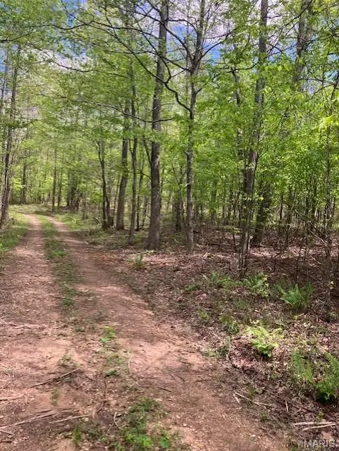 220 Madison Cr 410, Fredericktown, MO 63645 - #3