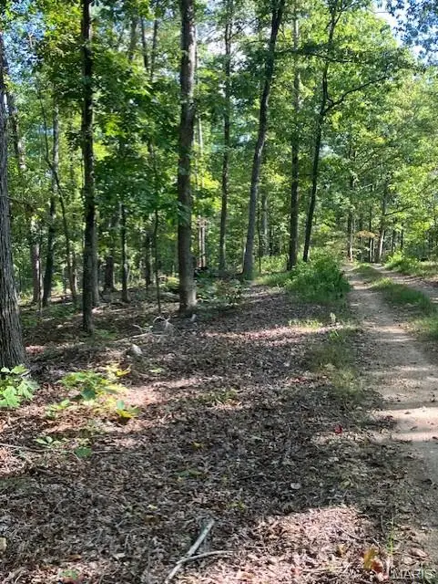 224 Madison Cr 410, Fredericktown, MO 63645