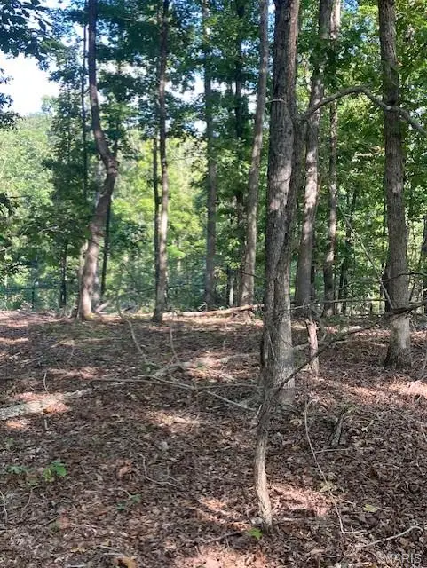 224 Madison Cr 410, Fredericktown, MO 63645 - #3