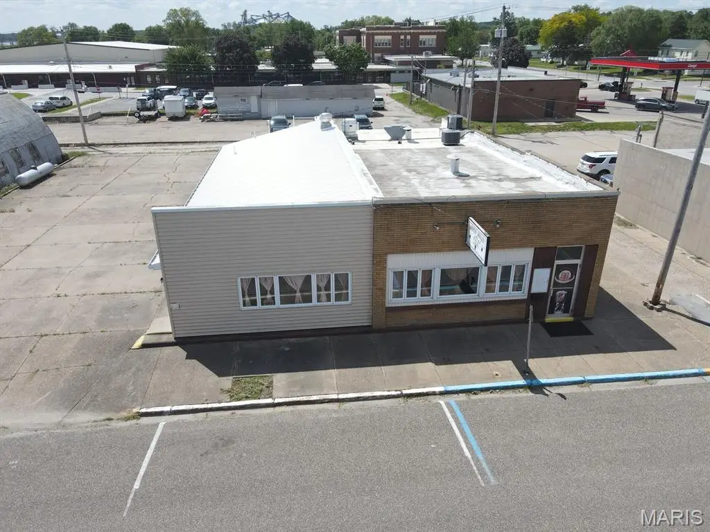305 Lewis Street, Canton, MO 63435 - #1