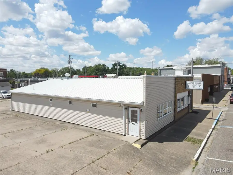 305 Lewis Street, Canton, MO 63435 - #3
