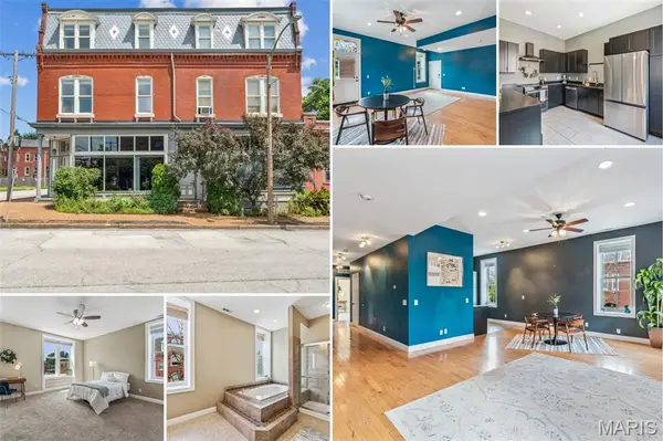 2900 Indiana Avenue #3, St Louis, MO 63118